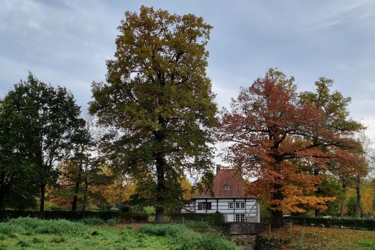 Landgoed Kasteel Terborgh Daire Schinnen Dış mekan fotoğraf